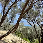Licciola 4*