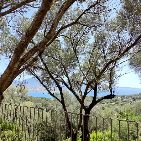 Licciola Aparthotel